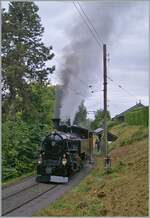 Autour de la voie ferr�e / Rund um die eiserne Bahn (Herbstevent 2024) - Die BFD HG 3/4 N� 3 verl�sst den Halt Chantemerle in Richtung Chamby. 

8. September 2024