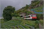 Impressionen vom nicht so gelungenen ersten  Umleitungswochenende  über die  Train des Vignes  Strecke infolge baubedingter Streckensperrung Vevey- Lausanne.