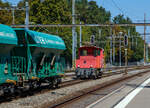 Nun übernimmt die BAM MBC Te III 155 (97 85 1212 055-8 CH-MBC) im Bahnhof Morges am 07 September 2023 den Aushubzug/Kieszug von Gland - Morges (- Apples). Für den Weitertransport nach Apples müssen die normalspurigen Drehgestell-Schüttgutwagen nun auf die Rollbockgrube um auf meterspurige Rollböcke verladen werden.

Der Te 2/2 III - 1965 von SLM (Schweizerische Lokomotiv- und Maschinenfabrik) unter der Fabriknummer 4538 gebaut, der elektrische Teil ist von MFO (Maschinenfabrik Oerlikon).

Im Jahr 1965 lieferten die SLM und MFO insgesamt 41 dieser Te 2/2 Rangiertraktoren der Leistungsklasse III an die SBB. Sie waren für den Einsatz an größeren Stationen mit hauptsächlich elektrifizierten Anschlussgleisen vorgesehen. Gegenüber den Te III mit Kuppelstangenantrieb aus den 1940er Jahren hatten diese nun Einzelachsantriebe. 

Im Jahre 2006 kaufte die MBC für die Rollbockmanöver im Bahnhof Morges von den SBB die beiden normalspurigen Rangiertraktoren Te III 147 und 155. Diese wurden notwendig, nachdem SBB Cargo das Rangierteam aus Morges abzog. 

TECHNISCHE DATEN:
Spurweite: 1.435 mm (Normalspur)
Achsfolge: B
Länge über Puffer: 6.640 mm
Leistung: 245 kW / 333 PS
Gewicht: 28 t
Höchstgeschwindigkeit: 60 km/h (geschleppt 65 km/h)
Stromsysteme: 15 kV 16.7 Hz