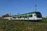 2025-11-05 LEB Echallens
Automotrice Stadler 
Be 4/8 65
