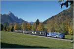 Zwischen Schönried und Gruben konnte ich den MOB/BLS GoldenPass Express PE 4068 auf der Fahrt von Interlaken Ost nach Montreux kurz nach Schönried fotografieren.
Da bei allen GPX Zügen auf dem Schmalspurabschnitt die Lok jeweils Seite Zweisimmen eingereiht ist, hoffte ich bei den Schleifen oberhalb von Gstaad eine passende Fotostelle zu finden, stellte aber fest, dass dies gar nicht so einfach war. 
Zudem sind durch den straken Besucherandrang verständlicherweise viel Wege oder Zugänge gesperrt.     

13. Oktober 2025
