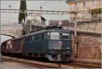 Die SBB Ae 6/6 11480  Montreux  fährt mit einem Güterzug in Rivaz durch.