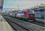 Der Anfang vom Ende - die ganz neue SBB Cargo 193 065 (91 80 6193 063-5 D-NRAIL) steht mit einem Güterzug in Vevey und hat somit schonmal einen Umlauf einer SBB Re 4/4 II eingenommen. Somit werden die Re 4/4 II nun auch im Güterverkehr wohl recht bald kaum mehr zu sehen sein. 

25. Oktober 2024