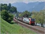 Die von SBB Cargo International angemietete 193 470 ist mit dem Novalis-Güterzug kurz nach Villeneuve unterwegs. Der Zug ist auf dem Weg von Sierre nach Göttingen. 

30. Juli 2025