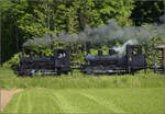 150 Jahre Emmentalbahn. 

E 3/3 853 der Jura-Simplon und Ed 3/3 3 'Langnau' der Emmentalbahn mit ihrem Sonderzug in ihrem historischen Revier entlang der Emme. Lyssach Schachen, Mai 2025.

Man verzeihe mir, dass ich im Folgenden den Fokus unüblicherweise auf die zweite Lok lege. Denn Ed 3/3 Nr. 3 'Langnau' war der grosse Star des Festes, stammt sie mit Baujahr 1881 aus der Nachbestellung der Originalloks aus dem Eröffnungsjahr 1874. Die ebenso beachtenswerte Vorspannlok der JS aus dem Jahr 1890 muss bei der Bedienung der Bremsen aushelfen und kann deswegen unserer Jubilarin nicht den Vortritt lassen.