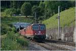 Die  Re 10/10  bestehend aus der SBB Re 420 337-8 und einer Re 6/6 machen der Alten Hauenstein Linie als Gebirgsbahn alle Ehre.