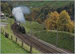 Die Elefanten kommen! Die C 5/6 N° 2978 und N° 2969 führen gemeinsam einen langen Extrazug über die Gotthard Panorama Strecke.