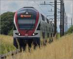 RABe 511 049 als S 15 nach Rapperswil.