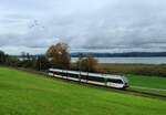 Seelinie Rorschach - Arbon - Romanshorn - Kreuzlingen - Stein am Rhein - Schaffhausen: Thurbo GTW 2/8 778 fährt bei Triboltingen Richtung Ermatingen.