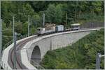 Les chemins de fer disparus - Die verschwundenen Bahnen (LLB 1915 - 1967); wie befürchtet verdeckt die nachwachsende Vegetation recht rasch den Blick auf das neu sanierte Baye de Clarens Viadukt.
