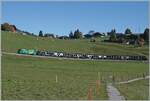 Die MOB Ge 4/4 8004 ist mit ihrem GoldenPass Express (GPX) auf der Fahrt von Montreux nach Interlaken Ost, und wird in K�rze Schonried erreichen. Die MOB Ge 4/4 wird am Zweisimmen von einer BLS Re 465 abgel�st.

13. Okt. 2025