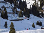 Nun sollte es ins Skigebiet des Col de Bretaye gehen, also dort oben hin. 

Der Zug mit der Lokomotive HGe 4/4 32 'Villars' mit seinen zwei Panoramawagen ist auch im vielf�ltigen Fahrzeugpark der BVB ein Sonderling und kommt talw�rts nach Bouquetins runtergefahren. Januar 2026.