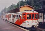 Trotz der Grenze und der unterschiedlichen Betriebssysteme bemühten sich die beiden Betreiben der Strecke Martigny - Saint-Gervais immer um die Möglichkeit die Fahrzeuge auf der gesamten strecke einsetzen zu können. So bestimmte die in Frankreich eingesetzte  Bremsschiene  die Höhe über der Schienenoberkannte der Zahnstange der M-C, die somit den grössten Höhenwert aller Schweizer Bahnen besitzt. 
Allen Bemühungen zu Trotz, muss und musste meist Umgestiegen werden. Aber wo? 
Heute steigt man in Vallorine um, etliche Jahre fuhr die SNCF bis Châtelard Frontière, aber auch schon früher fuhren M-C Züge bis Vallorcine wie des Bild eines Zugs in Salvan zeigt.
Zudem gab es auch direkte (Steuer)-Wagen von Martigny bis Chamonix und mit den BDeh 4/8 21 und 22 bzw. SNCF Z800 wollte man eigentlich grundsätzlich direkte Züge anbieten, was leider nur eine kurze Zeit verwirklicht wurde. 

Analogbild vom August 1995