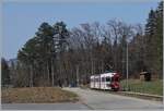 Damals noch schmalspurig von Bulle nach Broc Fabrique - Kurz nach La Tour de Tr�me ist ein TPF BDe 4/4 auf dem Weg nach Broc Fabrique. 

2. M�rz 2021