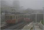 Der  BLM Mischbetrieb  mit den aktuellen und den neuen Triebwagen dauerte nur einen kurzen Sommer lang; Grund genug, nochmals in der Winteregg die Kreuzung zwischen den aktuellen Triebwagen Be 4/4 festzuhalten, hier mit den Be 4/4 31 Lisi und Be 4/4 21.

23. Juli 2024