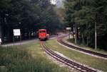 Ferrovia Monte Generoso noch mit Dieselbetrieb: Lokomotive Hm2/3 1, Bellavista, 23.Juli 1970 