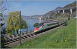 Der SBB ETR 610 009 ist als EC 45 von Genève nach Milano unterwegs und konnte kurz vor Villeneuve in der Frühlingsgrünen Landschaft am Genfer See fotografiert werden. Im Hintergrund ist das Château de Chillon zu erkennen.

3. April 2025