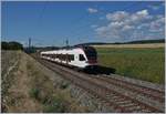 Der SBB RABe 523 027 auf der Fahrt nach Vallorbe kurz vor Arnex, in der sanften Jurafusslandschaf.