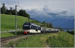 Mit dem Alpina Be 4/4 9203 (und einem weiteren am Zugschluss) fährt der MOB Belle-Epoque von Montreux nach Zweisimmen und konnte kurz vor Planchamp fotografiert werden.