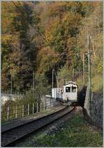  La DER de la Saison!  (Saisonabschlussfeier der Blonay-Chamby Bahn 2022) - Der als LLB ABFeh 2/4 10 angeschriebene BCFeh 4/4 der Blonay-Chamby Bahn fährt mit passenden LLB Wagen bei Verzs Chez