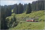 Der BLM Be 4/4 31  Lisi  ist mit seine Vorstellewagen kurz vor Winteregg auf dem Weg nach Grütschalp.