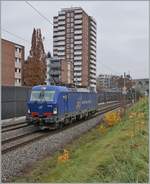 Nur 10 Minuten am Bahndamm gestanden...