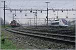 Der TGV Lyria 4415 wartet im Rangierbahnhof Biel auf seinen nächsten Einsatz, der ihn als Leermaterialzug nach Bern bringen wird, doch so in der Ruhestellung brennen am Triebzug hinten und vorne