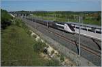 Der TGV Lyria 9206 (Rame 4410) von Zürich nach Paris Gare de Lyon verlässt nach einem kurzen Halt den Bahnhof Belfort-Montbéliard TGV.