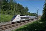 Der TGV Lyria 4404 von Paris Gare de Lyon nach Lausanne kurz vor seinem Ziel bei Bussigny.