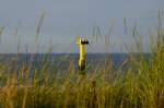 Seezeichen in der Nordsee bei Cadzand, aufgenommen am 03.09.2013