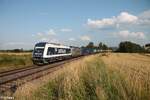 761 005-9 und 386 028-5 mit einem Elbtal Umleiter von Cheb nach Hof bei Unterthölau.