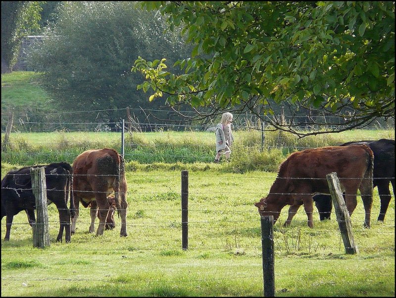  Wenn der bl�de Zug nicht bald kommt, gehe ich nach Hause.  
oder wie Bahnfotografinen in spe sich noch in Geduld �ben m�ssen. 21.09.08 (Jeanny)